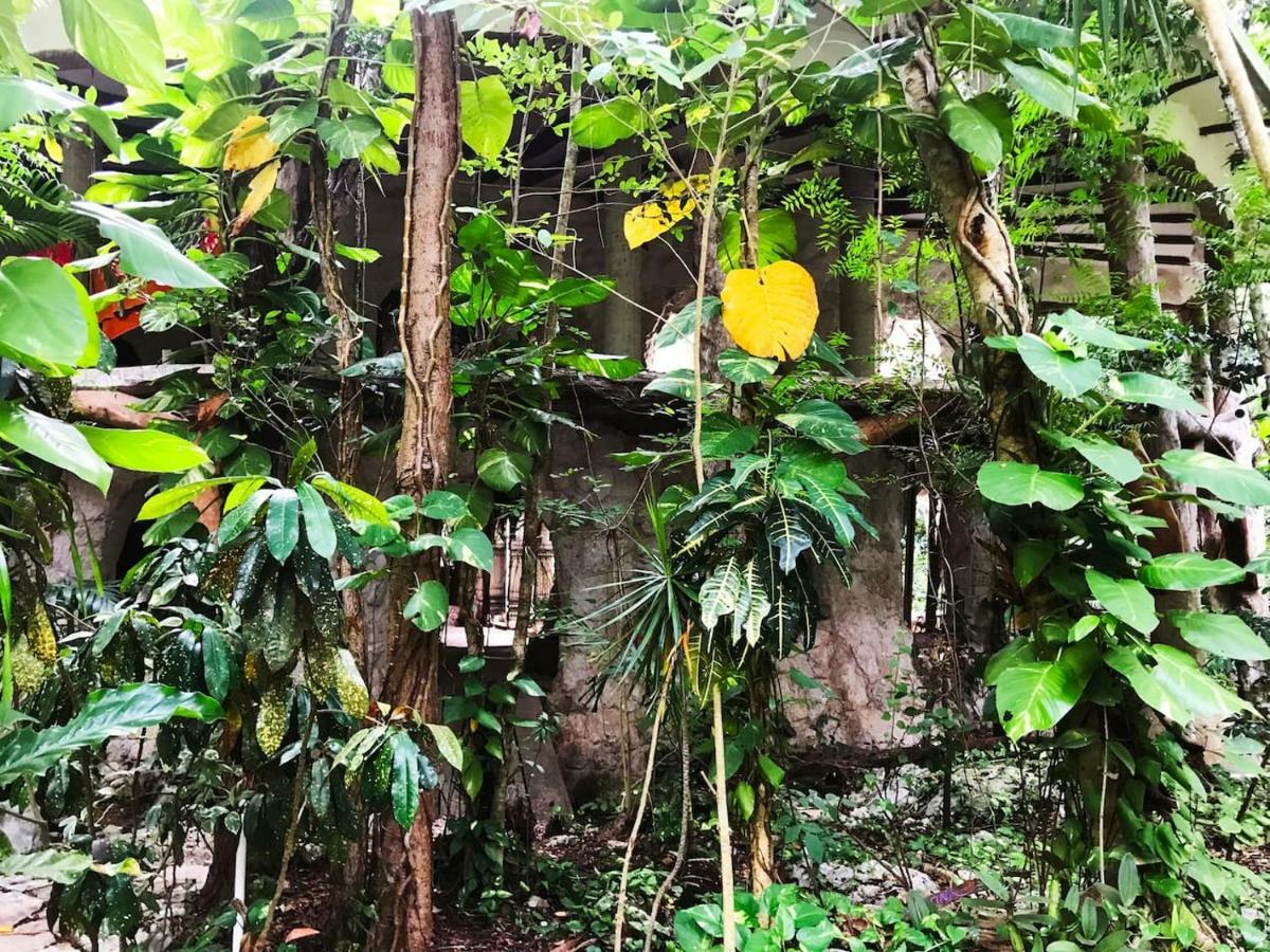 Portal Xibalba Hotell Playa del Carmen Exteriör bild