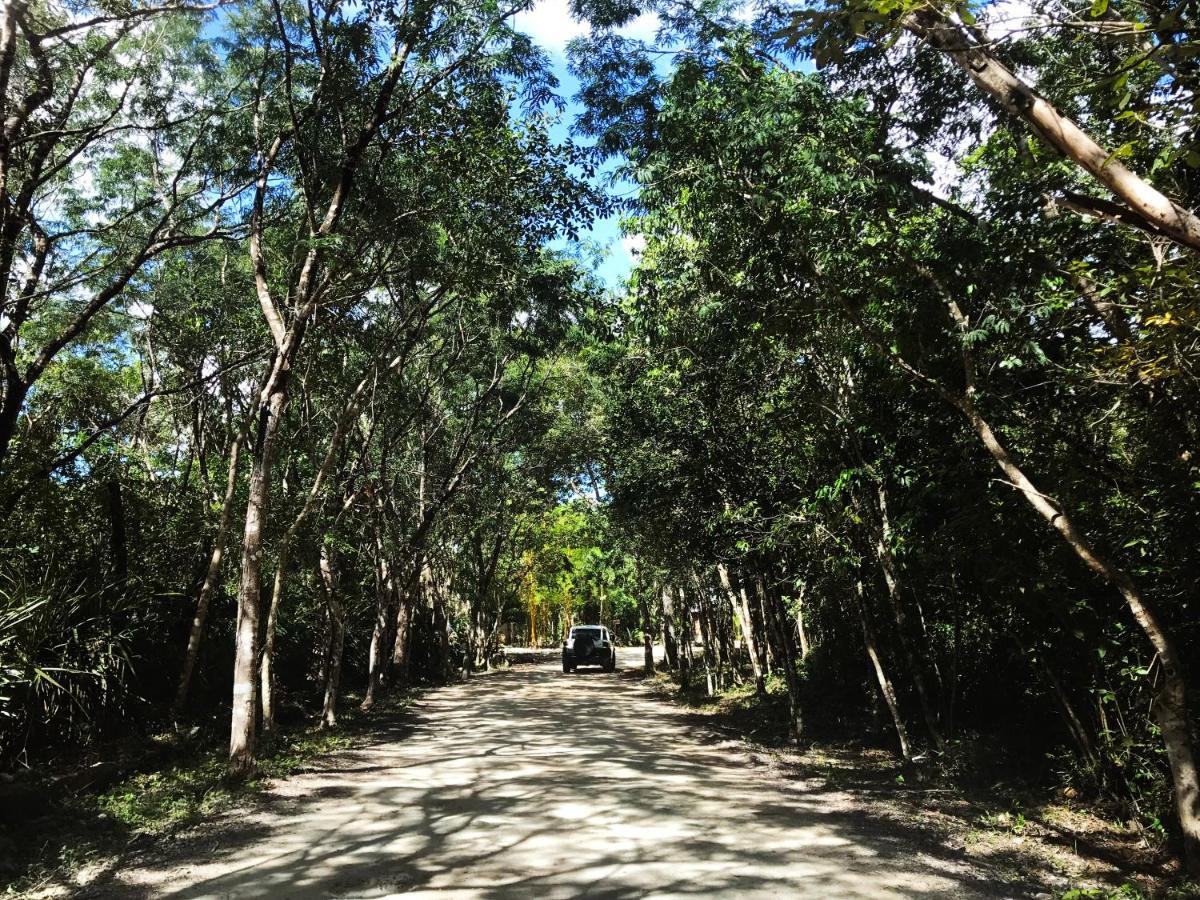 Portal Xibalba Hotell Playa del Carmen Exteriör bild